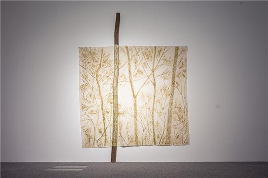吉赛普·佩诺内 林之绿   树干，用植物颜料擦印于画布上  370 x 258cm  1977-78
